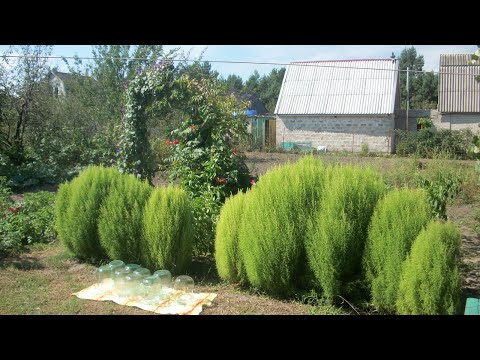 Видео: Грядка под чеснок/Посадка клубники🌺В селе у СВЕКРУНЬКИ !👍🙋‍♀️