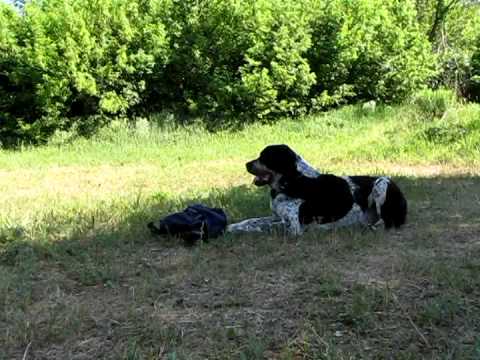 Видео: САО Аяр.  Сдача ОКД