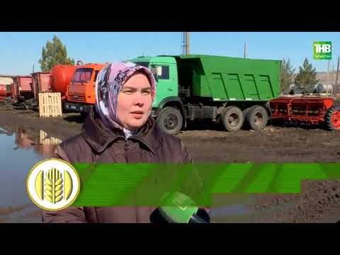 Видео: Туган жир 09/04/21