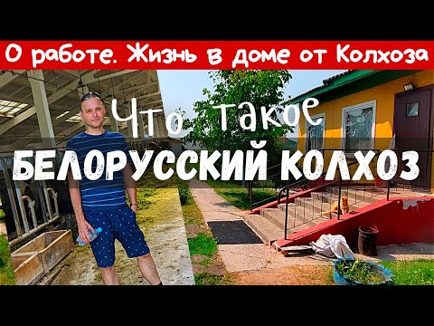 Видео: Обзор дома от колхоза / О работе / Деревня Урицкое / #гомель #беларусь #belarus