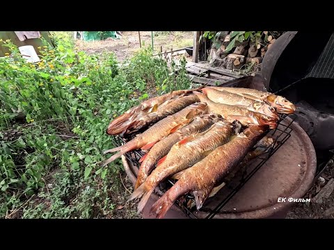 Видео: Копчение рыбы