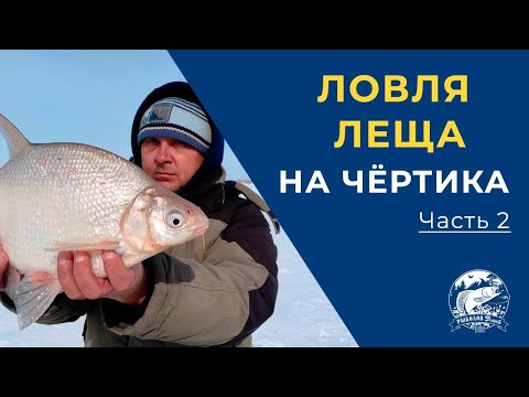 Видео: Ловля Леща на Чёртика. Безмотылка в действии на водохранилище.