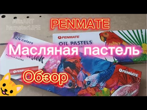 Видео: PENMATE🖍️Масляная пастель🖍️ОБЗОР🖍️Светостойкость🎨#penmate #oilpastel #обзор #артматериалы #бюджетные