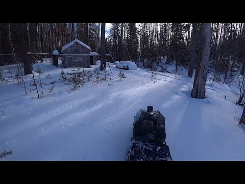 Видео: Один на рыбалку за "тигровыми" щуками.