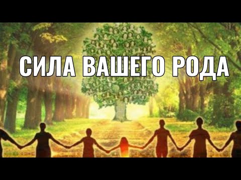 Видео: Как энергия вашего Рода влияет на вас и вашу жизнь.