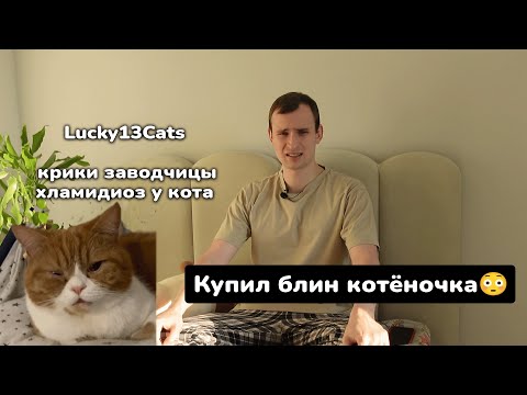 Видео: Lucky13Cats - уже пахнем ХЛАМИДИОЗОМ и КАЛОМ