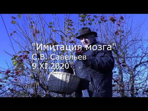 Видео: С.В. Савельев – Имитация мозга