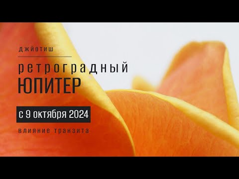 Видео: Ретроградный Юпитер до 4 февраля 2025. Влияние транзита