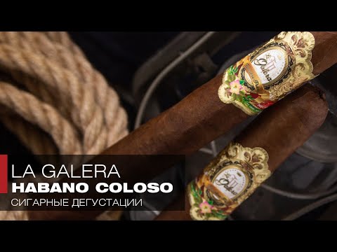 Видео: Каторга ли галера? Пробуем La Galera Habano Coloso