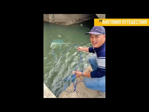 Видео: 9 коротких сюжетов: необычная рыбалка во Вьетнаме