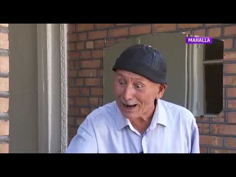 Видео: Директорга пахта қўйиб чарчамади – "Телевизион миниатюра"