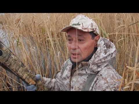 Видео: Охота на утку (о/х "Тассуат", патроны "Fortis")