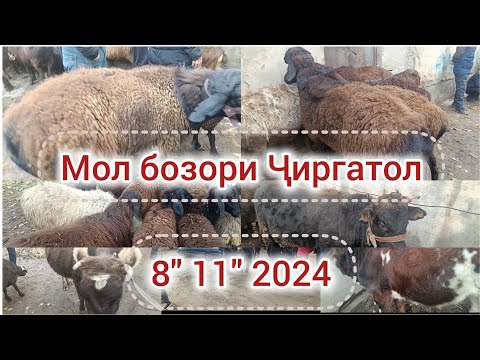 Видео: 🌳Мол бозори "Ҷиргатол" 🌳беҳтарин видео  🇹🇯 👍