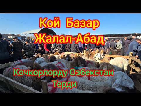 Видео: Кой Базар Жалал-Абад