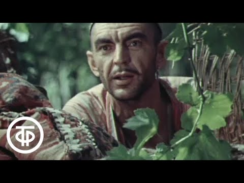 Видео: Гляди веселей. Серия 3. Очарованный принц (1983)