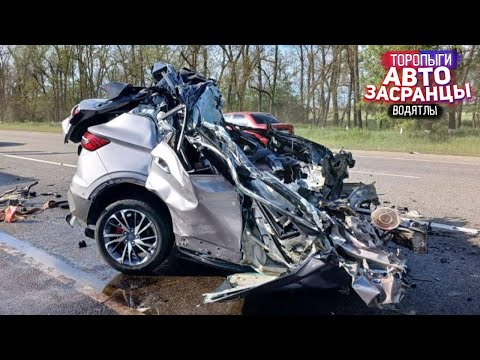 Видео: Ты меня подставил! Торопыги и Водятлы Осенний Сезон ДТП
