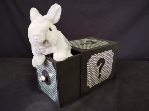 Видео: Как заставить кролика появляться и исчезать. Фокусные трюки и способы их выполнения.