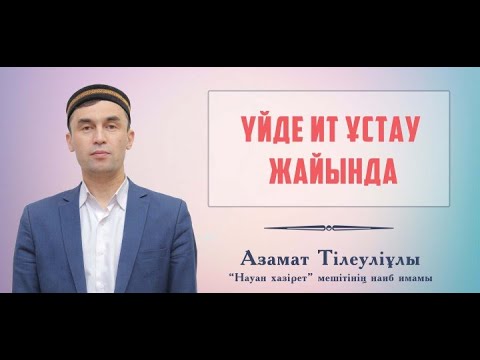 Видео: Үйде ит ұстау жайында | Азамат Тілеуліұлы