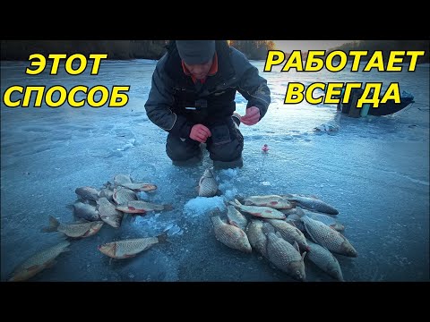 Видео: ЭТОТ МЕТОД ИСТРЕБИТ ВСЕГО КАРАСЯ!Зимняя рыбалка на карася.