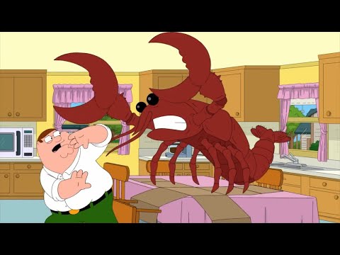 Видео: ГРИФФИНЫ - БЕЗ НАЗВАНИЯ | САМЫЕ ЛУЧШИЕ И СМЕШНЫЕ МОМЕНТЫ