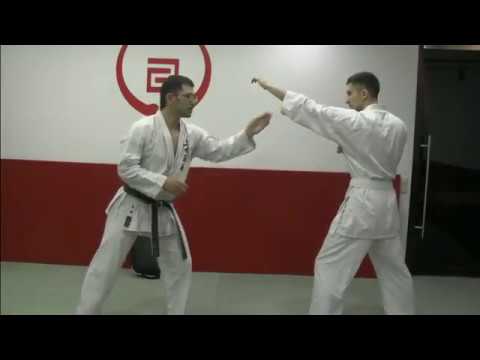 Видео: МАВАШИ ГЕРИ ДЛЯ ПРОФЕССИОНАЛОВ| УЭДА МАСАРУ| ТЕХНИКА КАРАТЭ