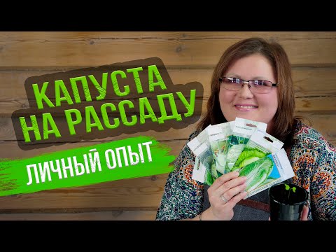 Видео: Когда сеять капусту? РАССАДА ДЛЯ БОГАТОГО УРОЖАЯ