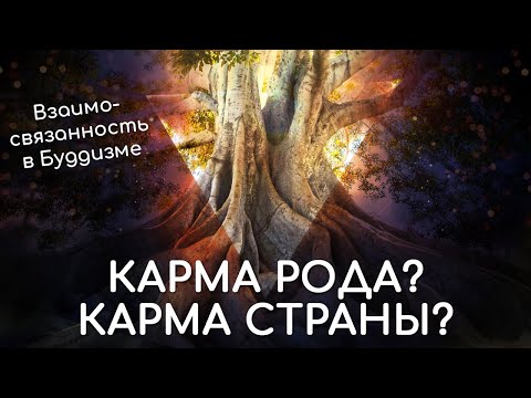 Видео: Карма рода, Карма страны. Взаимосвязанность в Буддизме. Личная Карма и общество. Будда о Карме.