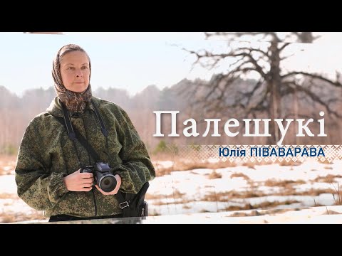 Видео: История агрогородка Дивин, заказник «Дивин-Великий лес». Фотограф Юлия Пивоварова