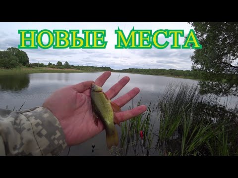 Видео: Рыбалка на карася,разведка новых мест.2021