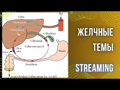Видео: Желчная тема. Желчь, желчеотток, желчный пузырь. Как улучшить самому.