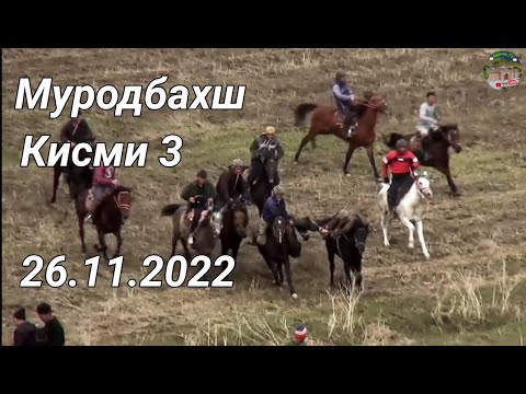 Видео: Бузкаши дар н Темурмалик д Муродбахш Кисми 3 26.11.2022