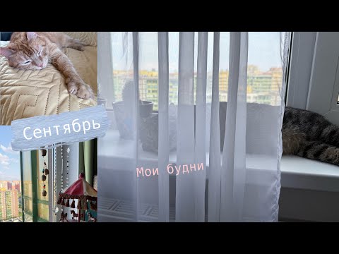 Видео: ЖИЗНЬ здесь, а Я там! 