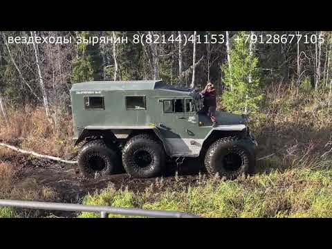 Видео: Ковровое болото.