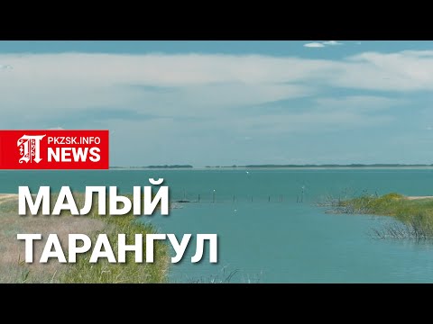 Видео: Большой аппетит Малого Тарангула