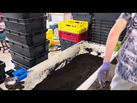 Видео: Приготовление субстрата по новой технологии #дендробена #рыбалка