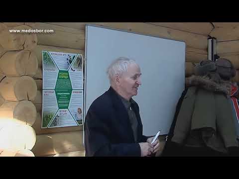 Видео: Кашковский занятие 2
