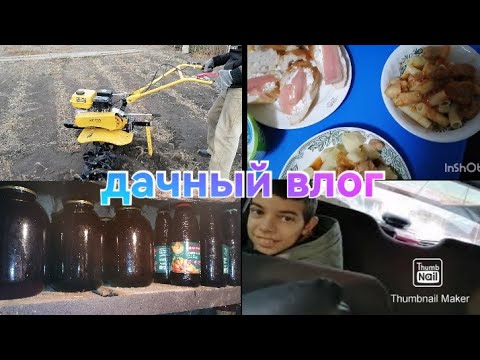 Видео: Дачный влог / Покупки в Ашане / Купили мясо на 5000 рублей / Вспахали огород / Разлила вино