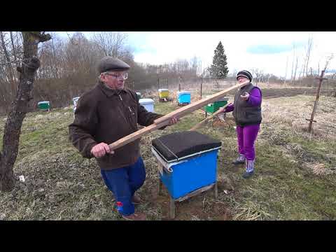 Видео: Интересное приспособление для переноски ульев.  Переносим улья с пчелосемьями.