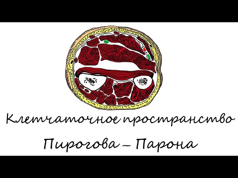 Видео: Клетчаточное пространство Пирогова – Парона
