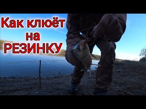 Видео: Снасть Резинка что влияет на клев рыбы