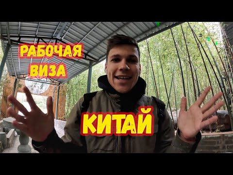 Видео: Поехали в Китай? Рабочая виза. Мой поэтапный опыт получения