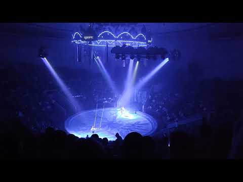 Видео: Тайна 5 континентов Цирк Воронеж 03.01.2024 (1 часть)