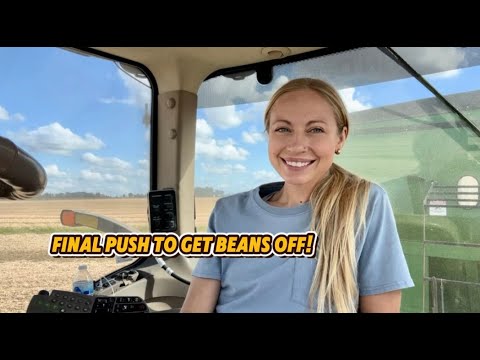 Видео: Давайте закончим с фасолью!