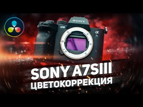 Видео: ВЗГЛЯД КОЛОРИСТА НА SONY A7SIII | Динамический Диапазон | Cкинтон