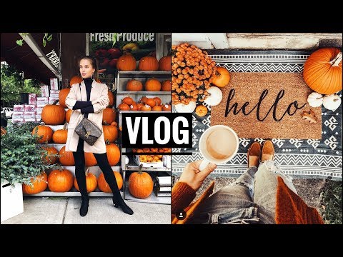 Видео: НЕДЕЛЯ ВЛОГОВ. День 3. ДЕНЬ ИЗ ЖИЗНИ. ХЭЛЛОУИН В АМЕРИКЕ. {DARY YORK}