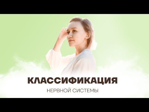 Видео: Нервная система человека: центральная, периферическая/симпатическая, парасимпатическая |ОГЭ Биология