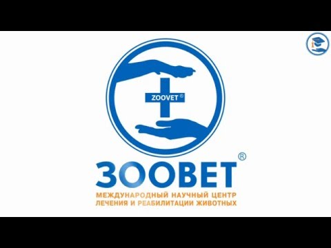 Видео: «Цитологическое исследование костного мозга. Какую информацию мы можем получить?», К. В. Лисицкая