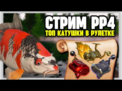 Видео: 🔴 СТРИМ РР4┃🔥ВЫСИДКА КАРПОВ КОИ НА ОЗЕРЕ МЕДНОМ┃🎁 РАПТОР и ВЕНГА в рулетке┃maXS1k