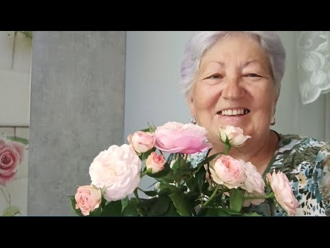 Видео: 20 августа Поработала с клубникой. Распечатала результаты исследований. Обзор покупок. Букет из роз 