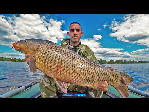 Видео: Судак и Сазан на ДЖИГ | Осиповичское водохранилище